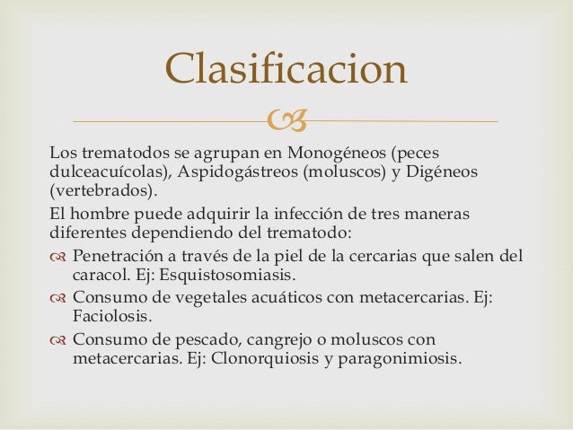generalidades de trematodos